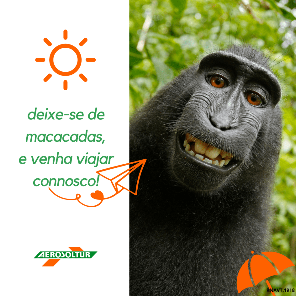 macaco livre
